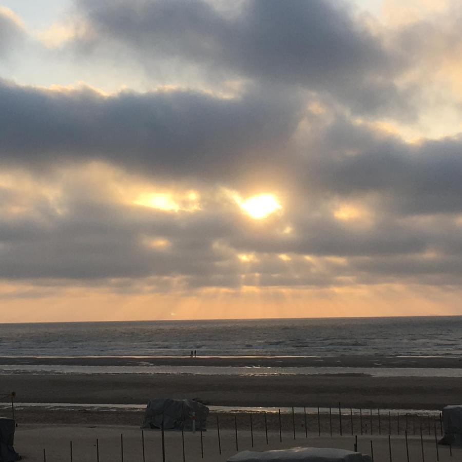 Knus Appartement Met Zicht Op Zeepolder 데한 외부 사진
